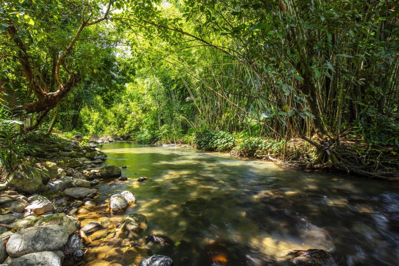 सहारा Malulee Khaosok Khao Sok National Park