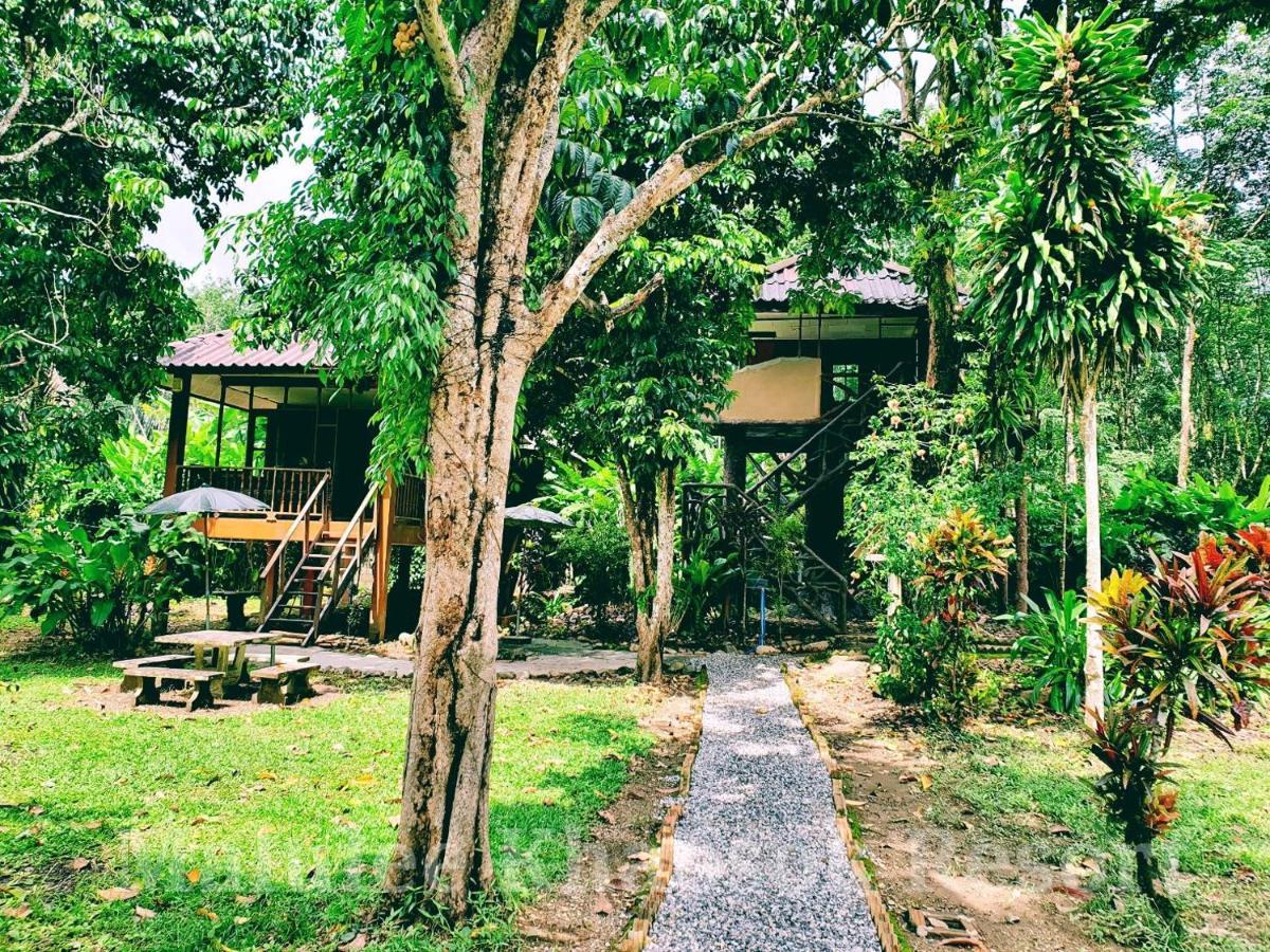 Tempat peranginan Malulee Khaosok *